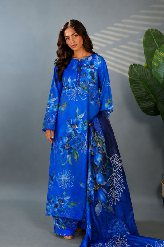 NEELI GHATA 3PC READY TO WEAR